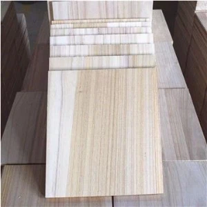 Planches de rupture de taekwondo / karaté